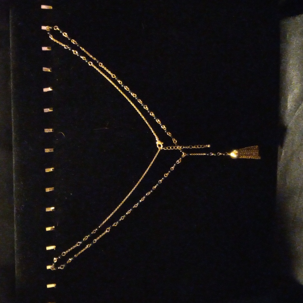 Charlotte Russe tassel necklace - Picture 2 of 5